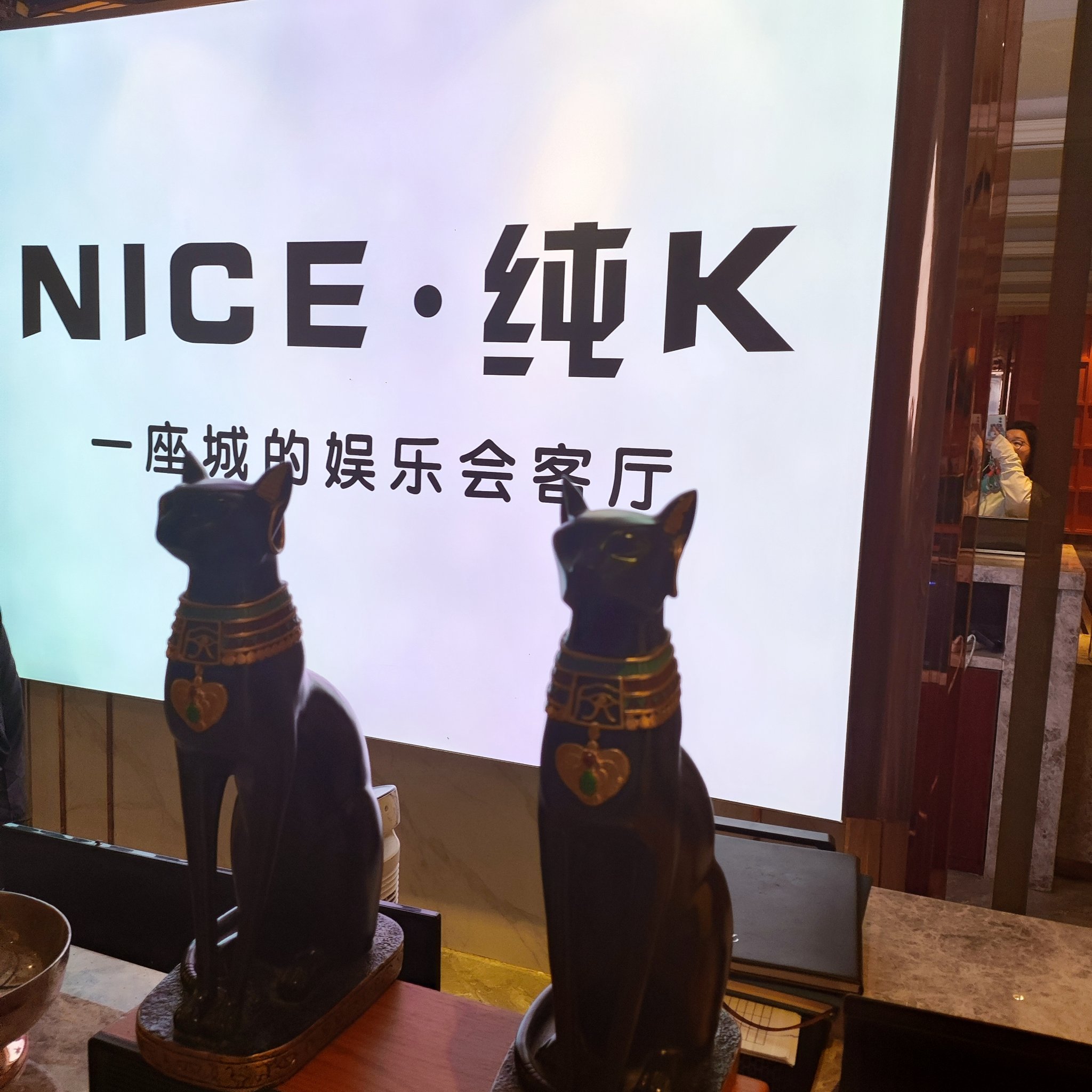 沈阳商务ktv低端场景选择-法库县ktv预定