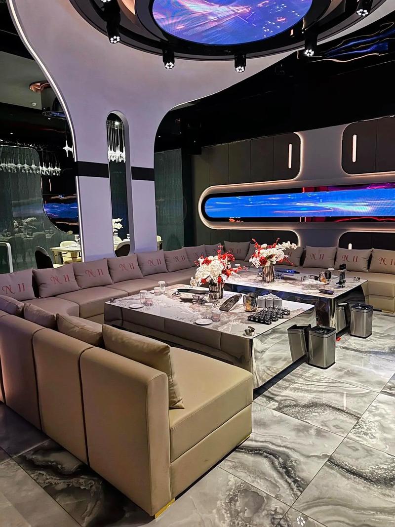 沈阳商务ktv，商务精英尽享尊贵享受-于洪区ktv预定